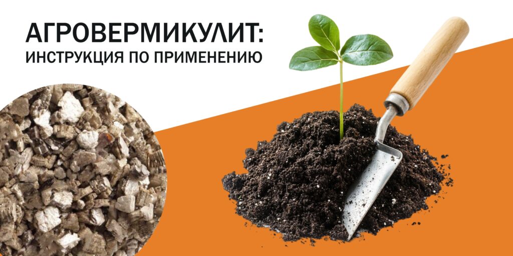article-image